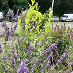 Photo n°3 de l'avis de Peter.e fait le 25/07/2021 à 14:40 sur le  Orestis-Grill à Lüdenscheid