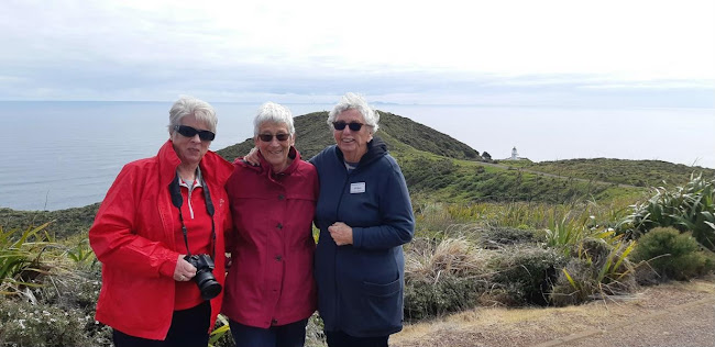 Reviews of Hinterland Tours, NZ in Tauranga - Travel Agency