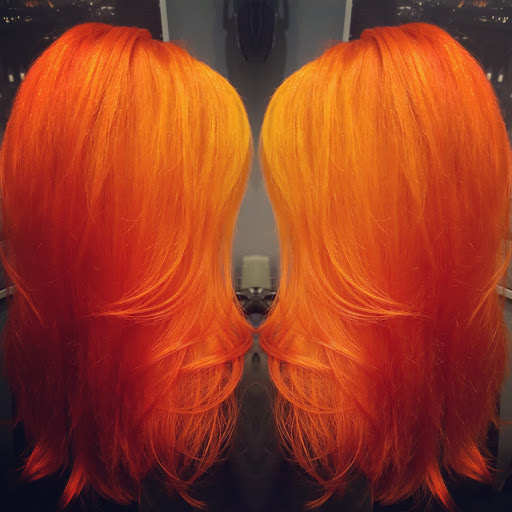 Hair Salon «Regis Signature Salon», reviews and photos, 4200 Conroy Rd #200, Orlando, FL 32839, USA