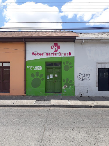 Veterinaria Brasil - San Carlos