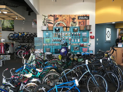 Bicycle Store «American Cycle & Fitness - The Trek Bicycle Stores of Michigan», reviews and photos, 18517 Hall Rd, Macomb, MI 48044, USA