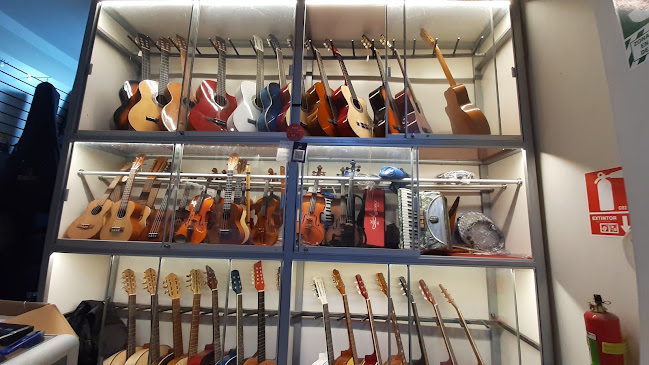 Opiniones de Red Music Imports E I R L - Tienda de instrumentos musicales. en Cajamarca - Tienda de instrumentos musicales