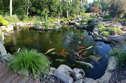Wyld Creek Water Gardens