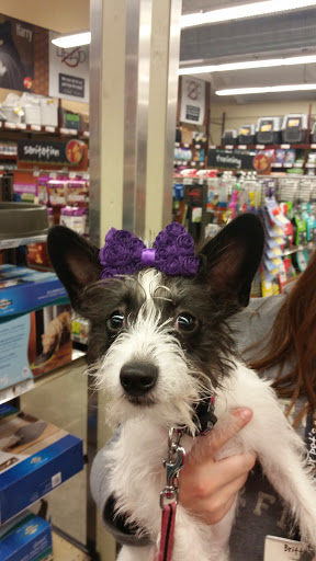 Pet Supply Store «Pet Food Express», reviews and photos, 500 W Napa St, Sonoma, CA 95476, USA