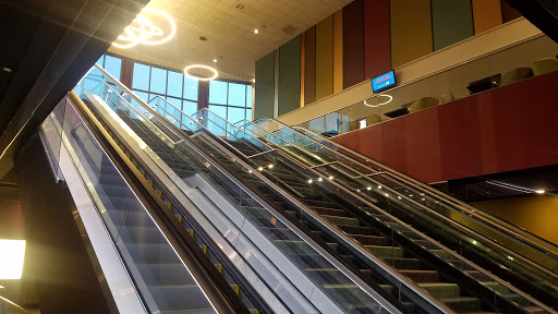 Movie Theater «Showcase Cinema de Lux Randolph», reviews and photos, 73 Mazzeo Dr, Randolph, MA 02368, USA