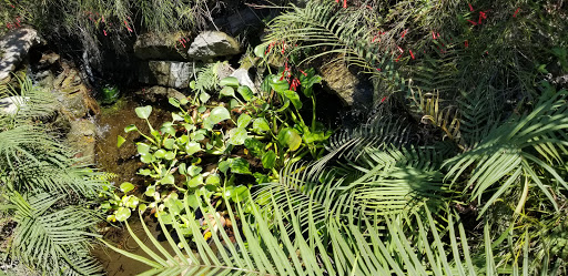 Building Materials Store «Carrolls Building Materials», reviews and photos