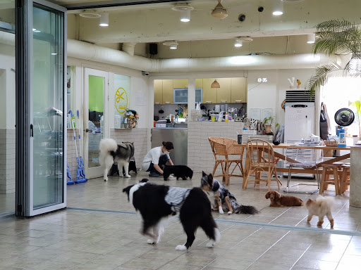 Sunny's Dog Cafe