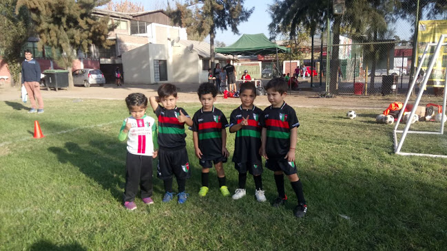 Comentarios y opiniones de Escuela de Futbol Oficial Palestino Ñuñoa