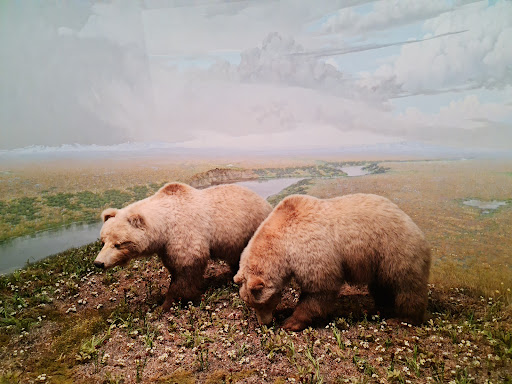 Natural History Museum «Denver Museum of Nature & Science», reviews and photos, 2001 Colorado Blvd, Denver, CO 80205, USA