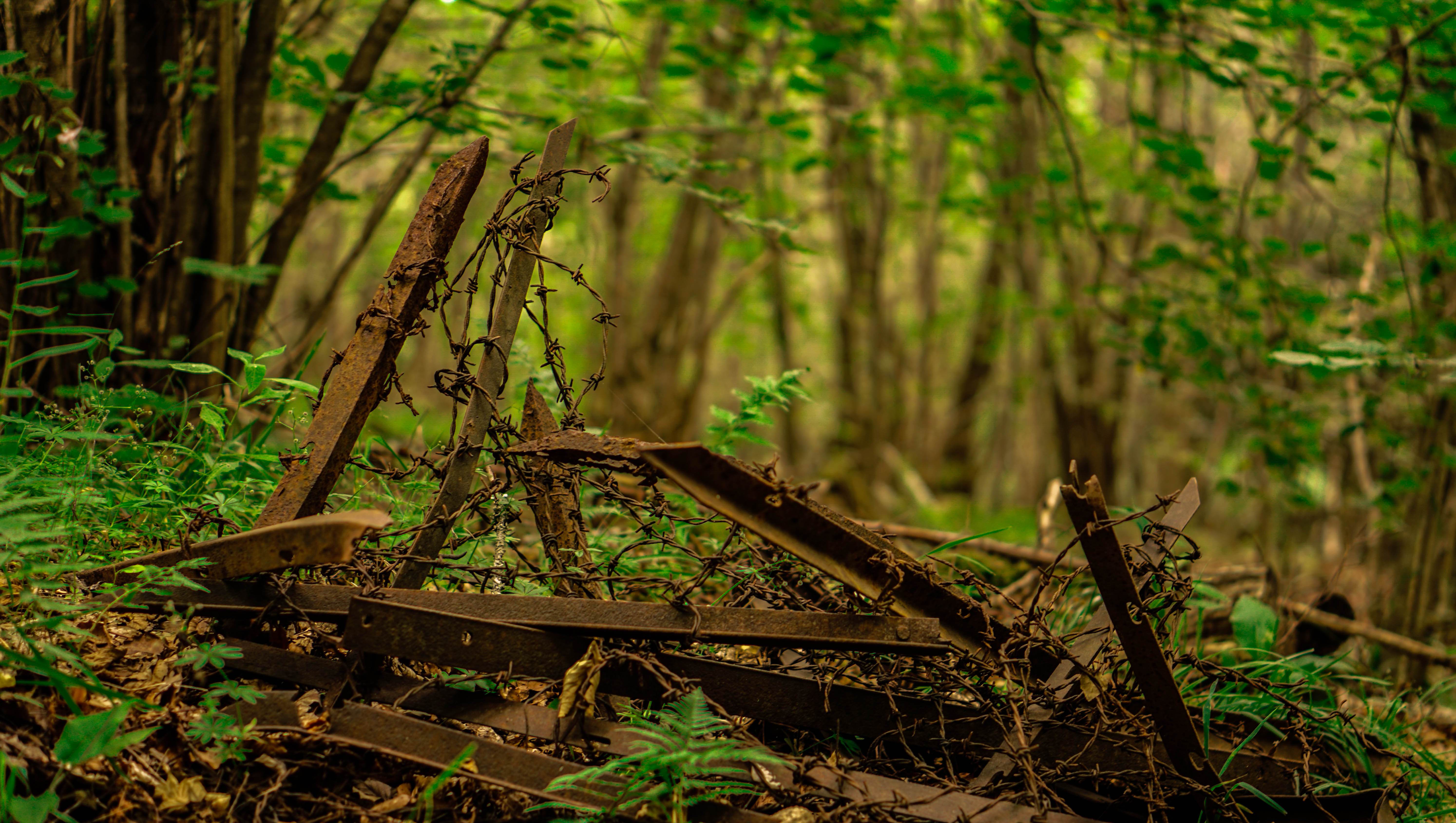 Photo n° 1 de l'avis de Brendan.V fait le 23/06/2023 à 10:54