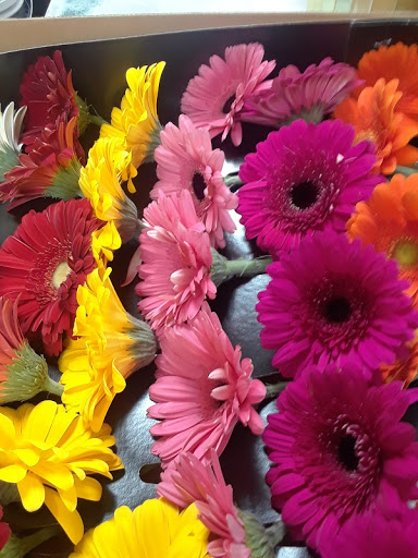 Florist «Skyway Creations», reviews and photos, 1407 S 8th St, Colorado Springs, CO 80905, USA