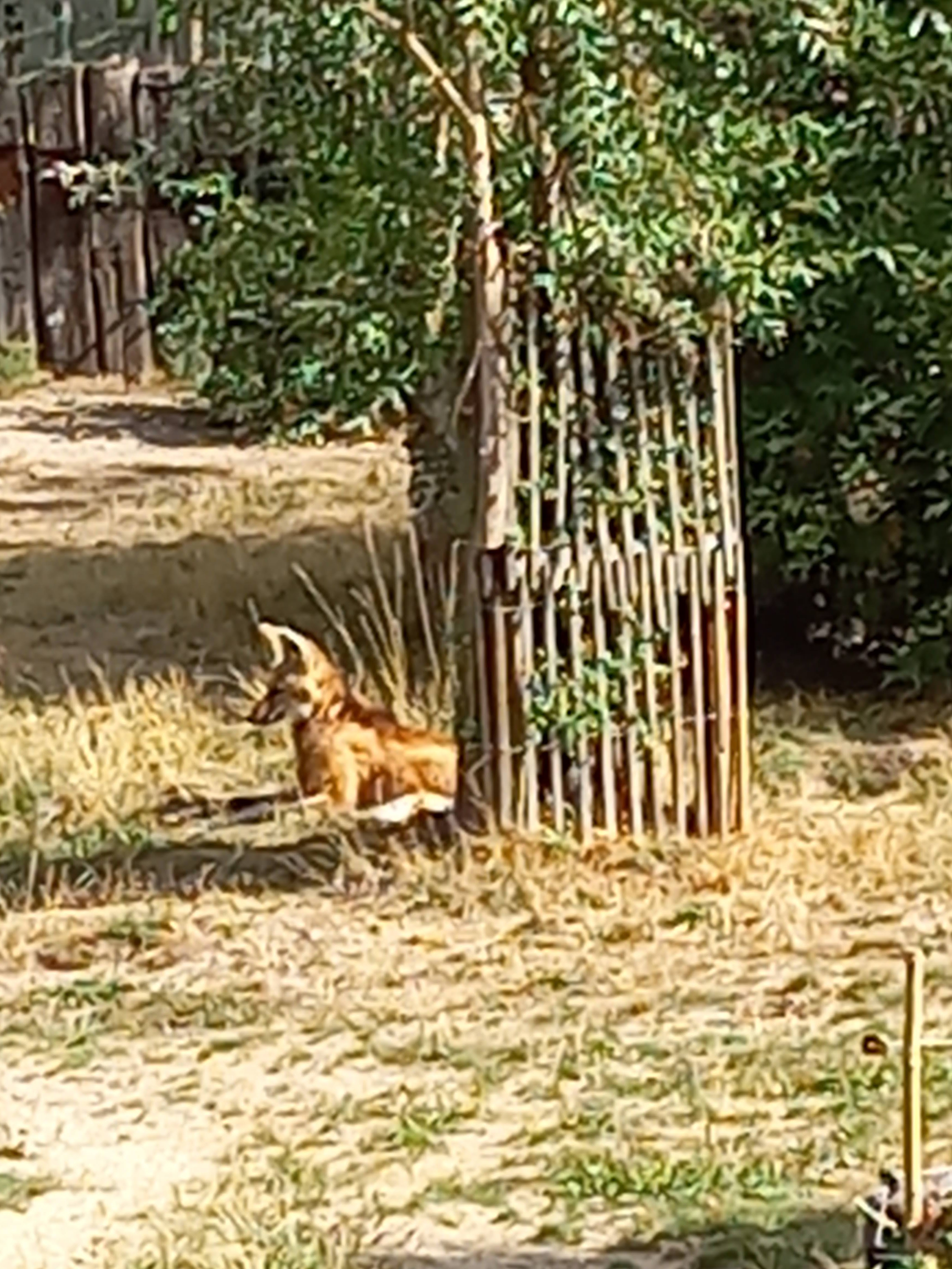 Photo n° 3 de l'avis de Pille.l fait le 26/08/2022 à 11:50