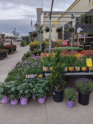 Home Improvement Store «The Home Depot», reviews and photos, 2960 Reynolds Ranch Pkwy, Lodi, CA 95240, USA