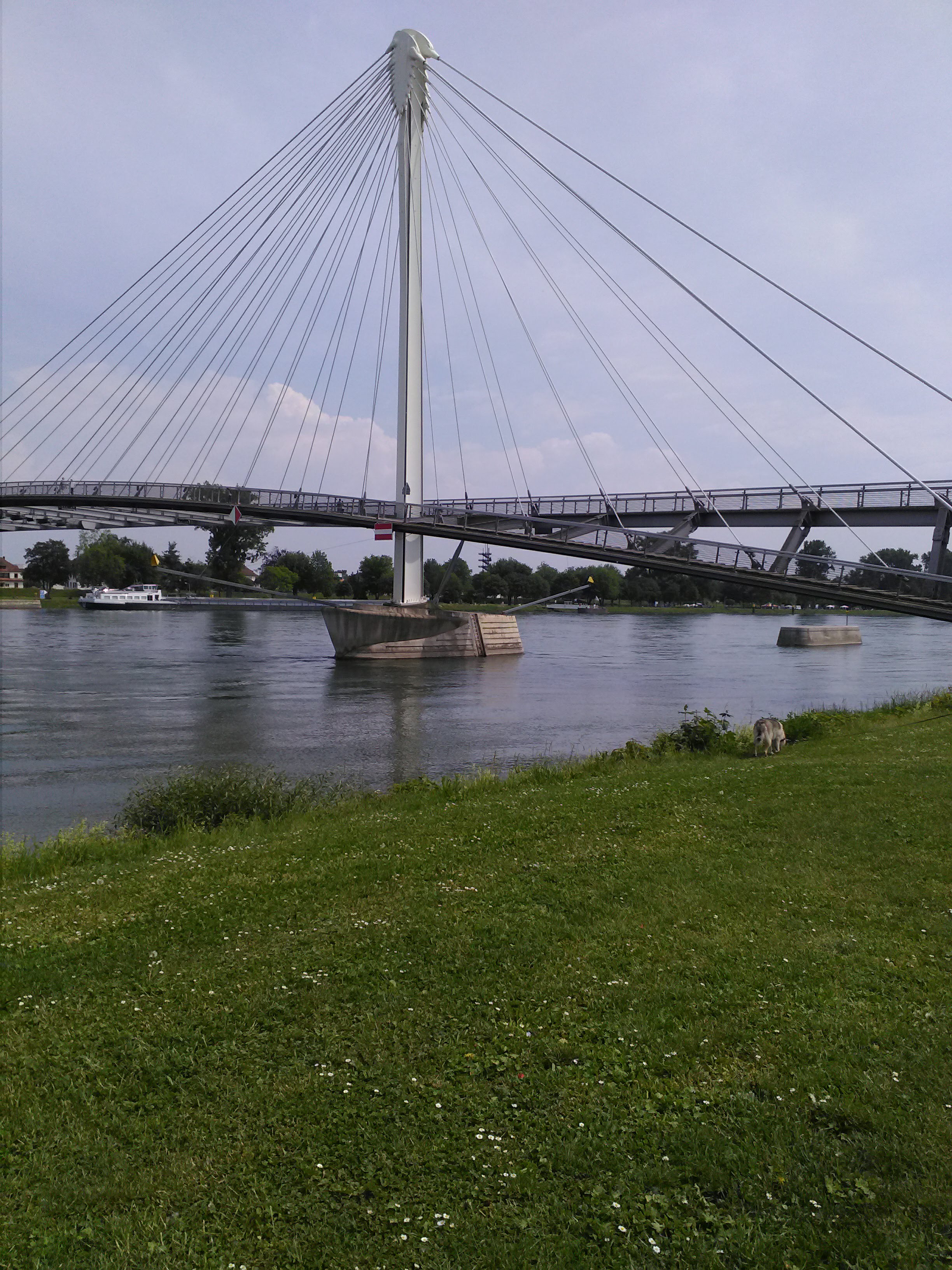Photo n° 1 de l'avis de Christiane.I fait le 12/05/2018 à 15:47