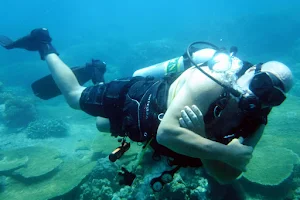 Mark Scott's Diving Vietnam image