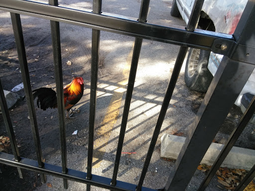 Clothing Store «Nike Factory Store», reviews and photos, 4101 S Carrollton Ave, New Orleans, LA 70119, USA