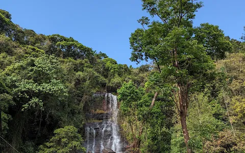 Bhadra Wildlife Sanctuary image