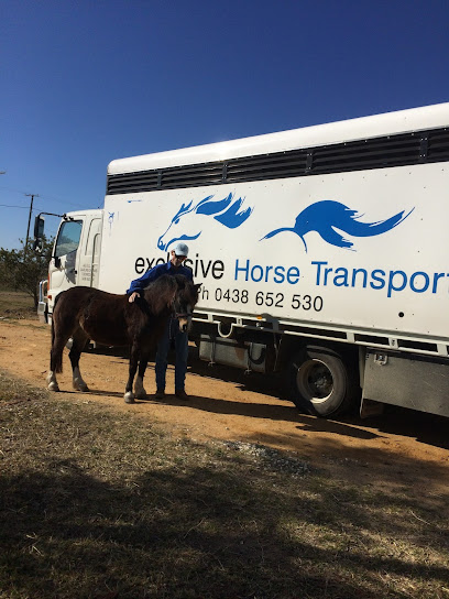 Exclusive Horse Transport