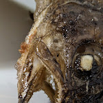 Photo n°9 de l'avis de Kim.o fait le 15/01/2023 à 13:11 sur le  Bar Ristorante La Spiaggia à Crissolo