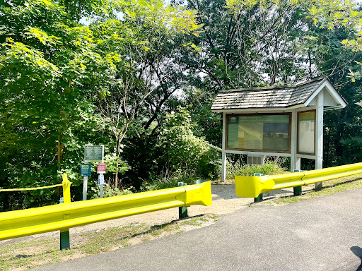 Tourist Attraction «Dinosaur Footprints», reviews and photos, US-5, Holyoke, MA 01040, USA