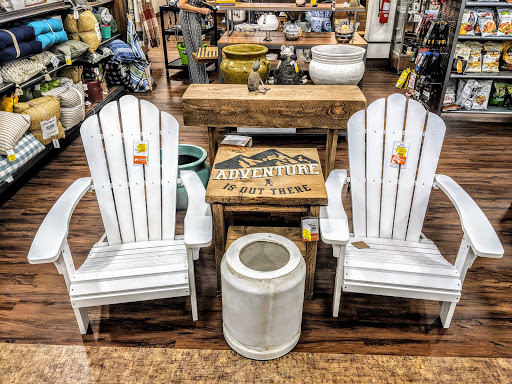 Outdoor Sports Store «Sierra Trading Post», reviews and photos, 215 N Maple Rd Unit 1F, Ann Arbor, MI 48103, USA