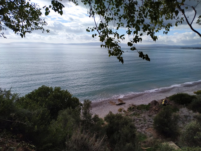 restaurant-43400.business.site