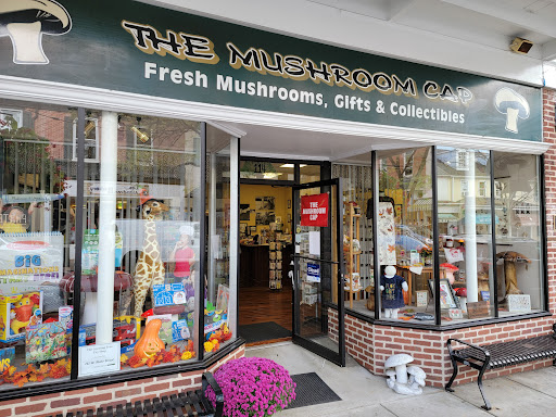 Gift Shop «The Mushroom Cap», reviews and photos, 114 W State St, Kennett Square, PA 19348, USA
