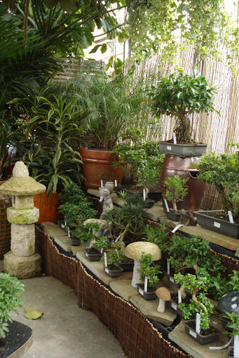 Florist «Bayport Flower Houses, Inc.», reviews and photos, 940 Montauk Hwy, Bayport, NY 11705, USA