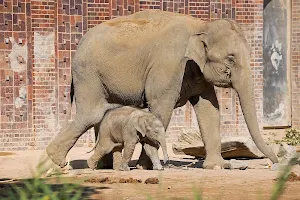 Elefantentempel image