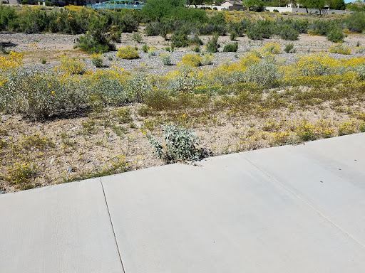 Used Car Dealer «Yates PreOwned Arrowhead», reviews and photos, 7050 W Bell Rd, Glendale, AZ 85308, USA