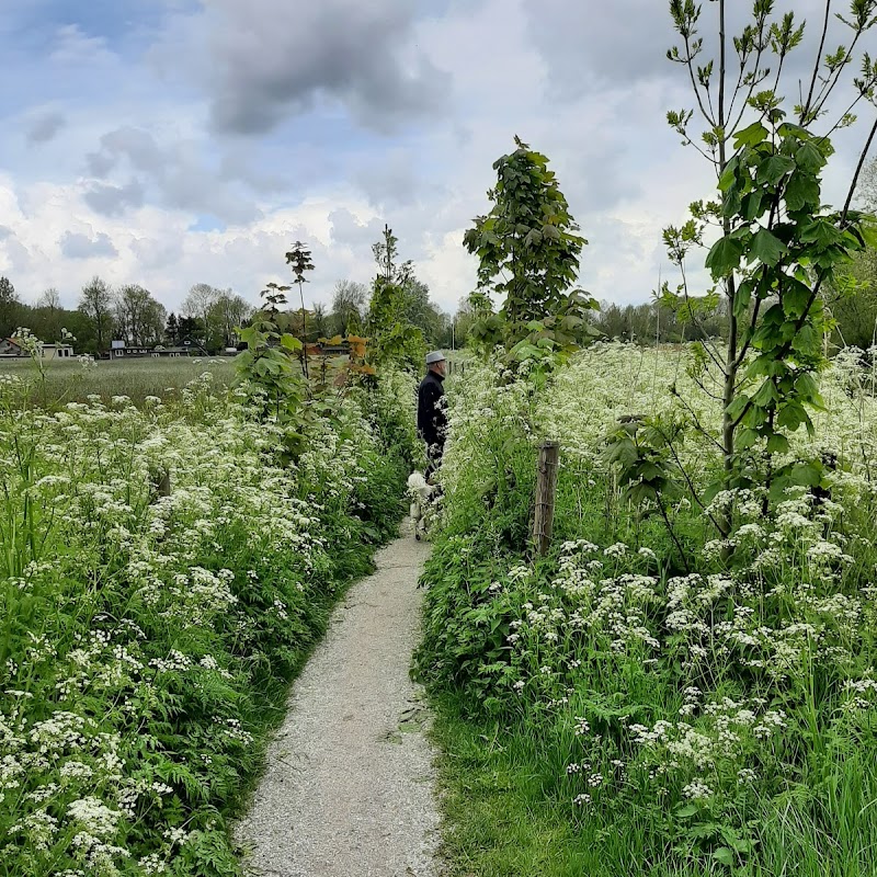 Recreatiepark Bloemketerp