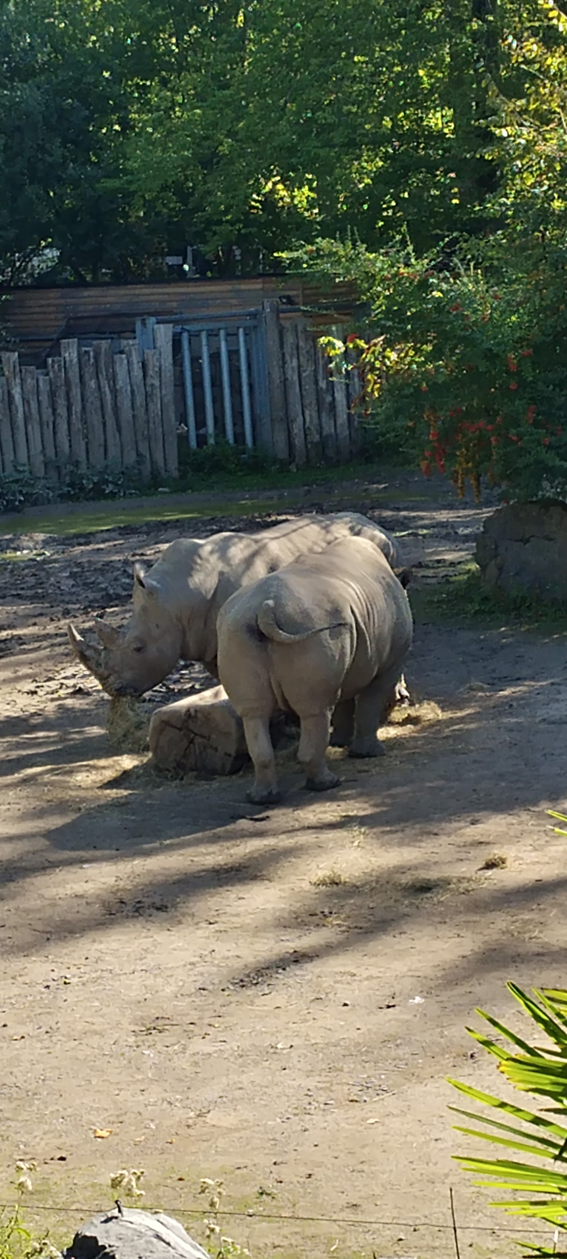 Photo n° 3 de l'avis de Bernard.e fait le 12/09/2022 à 09:16