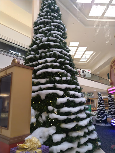 Shopping Mall «Sunvalley Shopping Center», reviews and photos, 1 Sun Valley Mall, Concord, CA 94520, USA