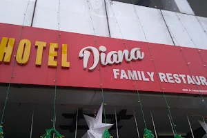 Hotel Diana image