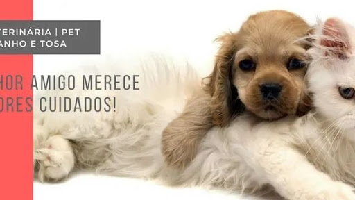 Clínica Veteninária Animal Center em Bauru - SP