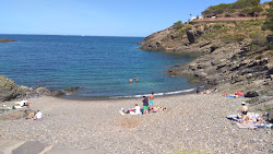Photo de S'Alqueria gran Beach zone sauvage