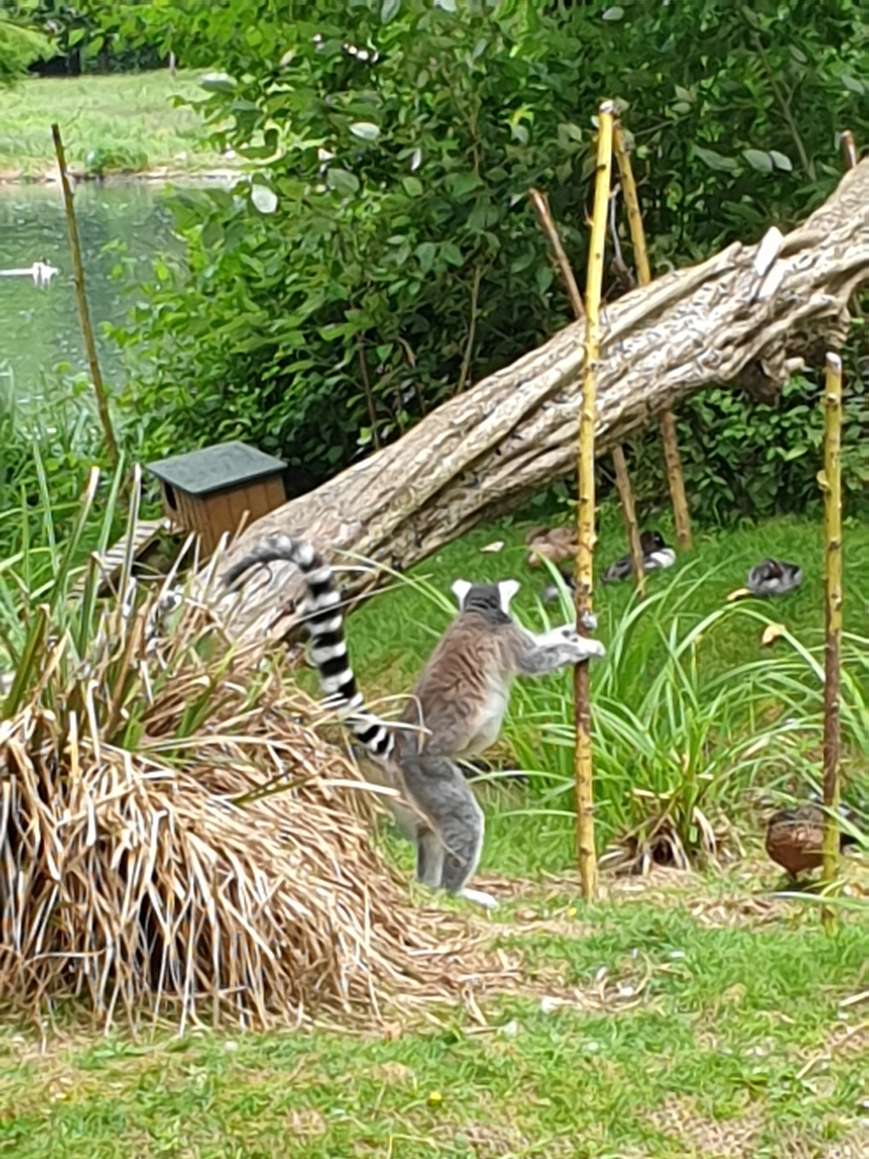 Photo n° 3 de l'avis de Fabienne.e fait le 09/08/2021 à 19:42
