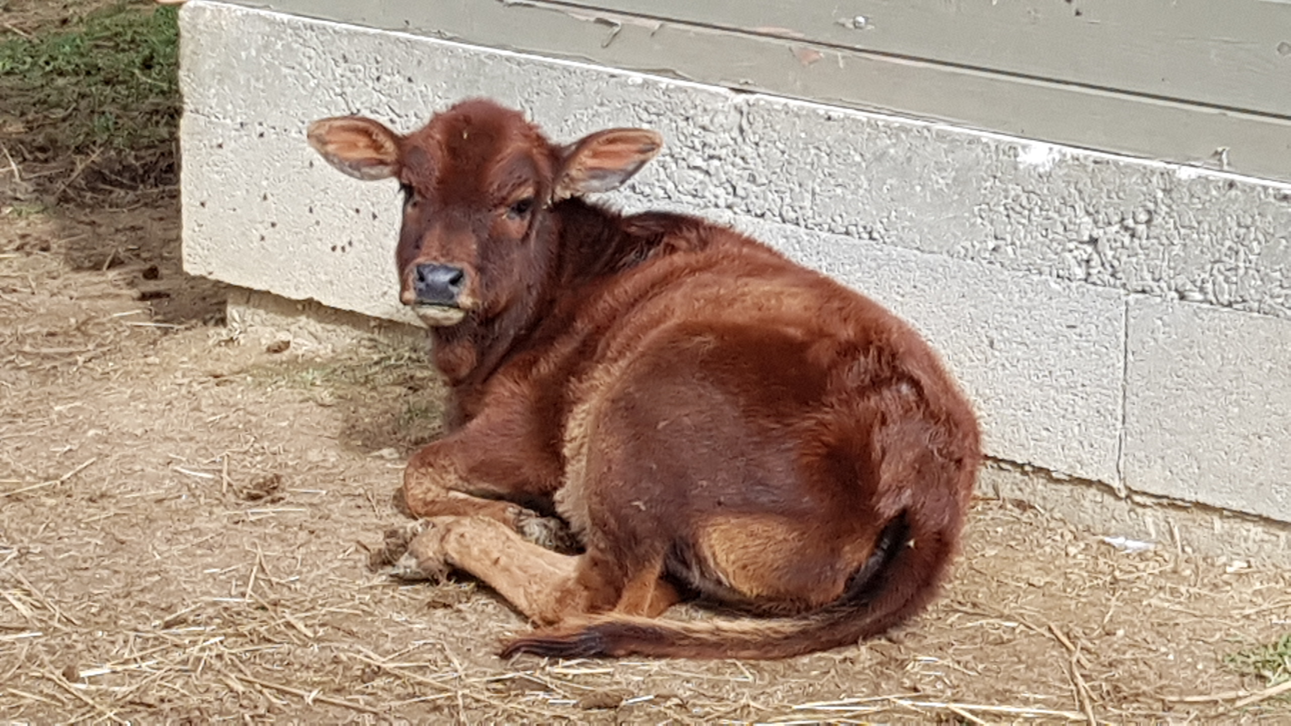 Photo n° 12 de l'avis de stefan.e fait le 15/05/2018 à 22:38