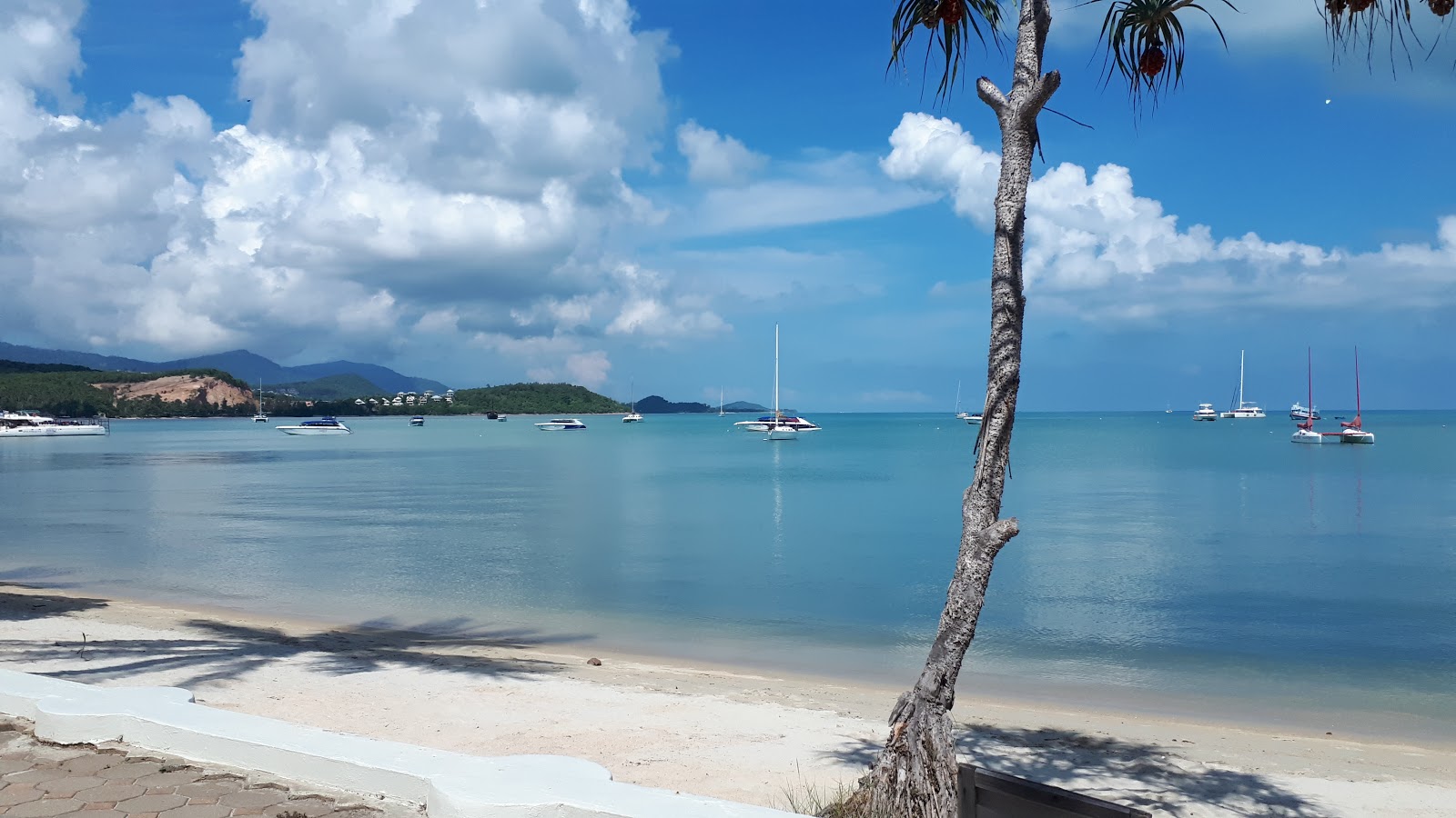 Photo de The Mermaid Beach et le règlement