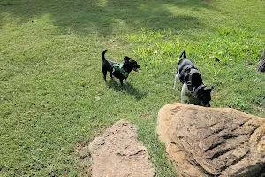 Euless Dog Park, Small Dogs image