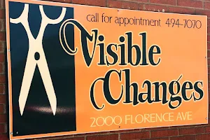 Visible Changes image