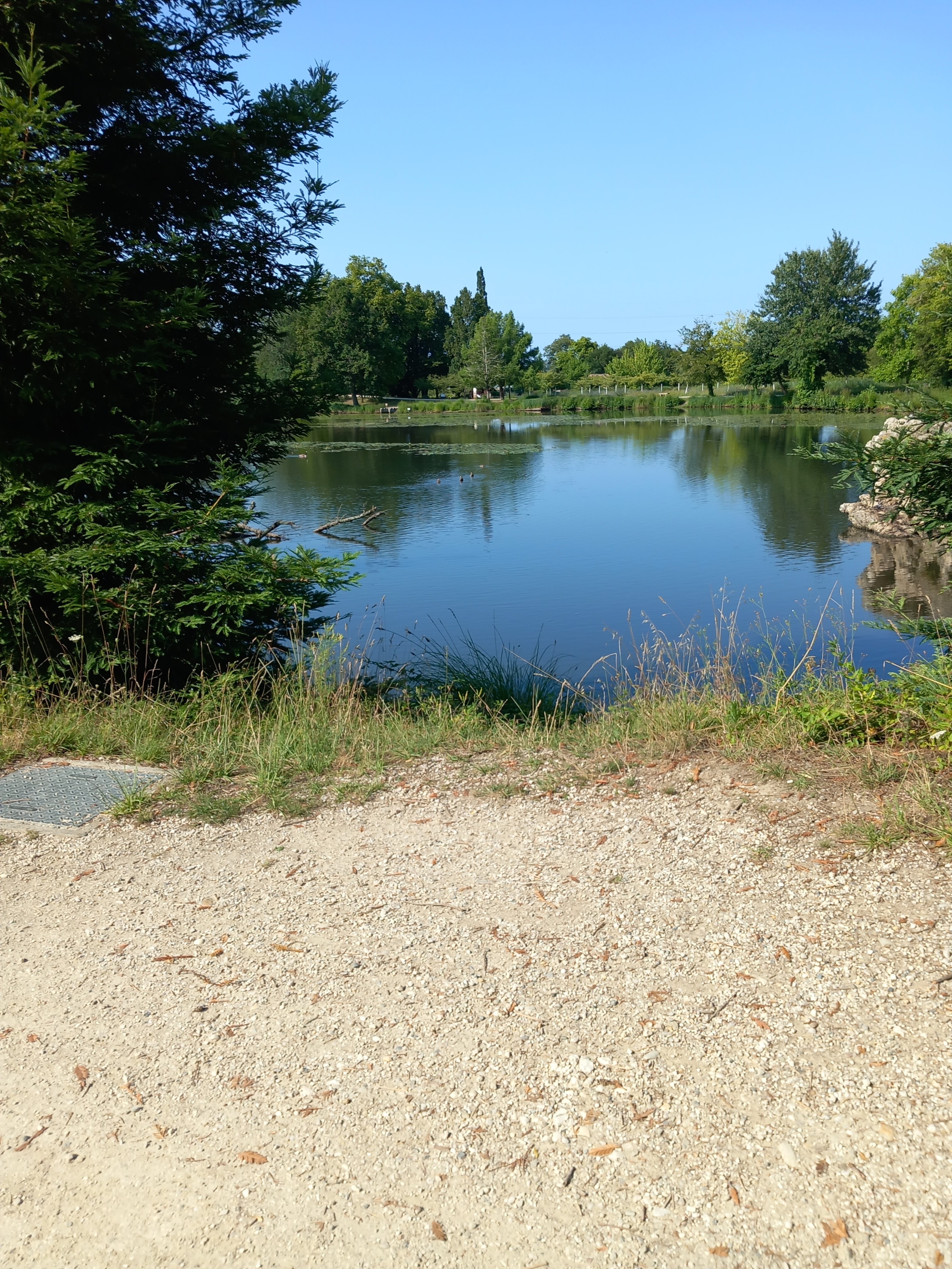 Photo n° 2 de l'avis de Albane. fait le 09/07/2023 à 09:36