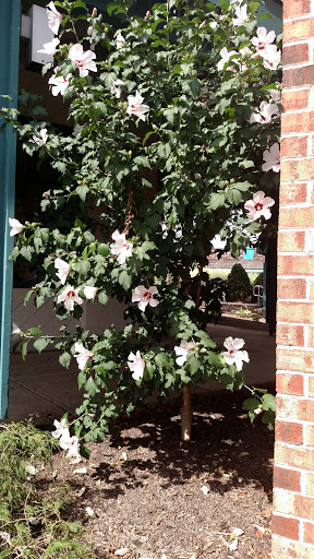 Grocery Store «Giant Food Stores», reviews and photos, 1153 N 5th St, Perkasie, PA 18944, USA