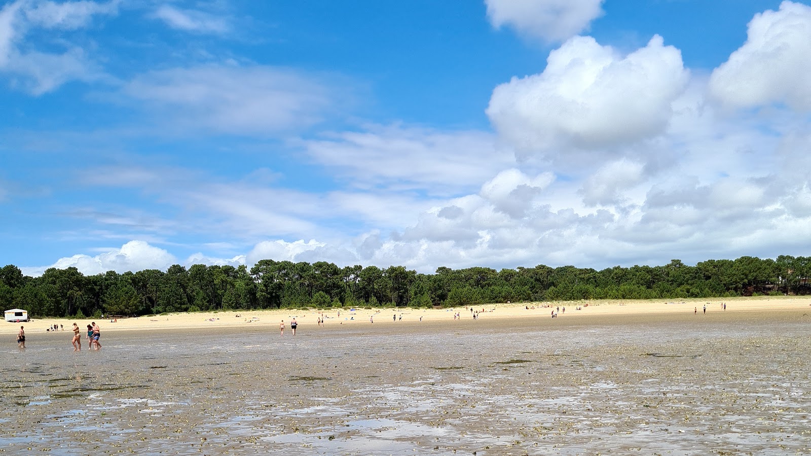 Foto af Plage de Gatseau med lang lige kyst