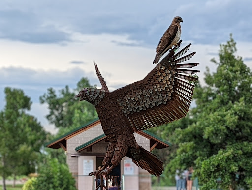 Memorial Park «E.B. Rains Jr. Memorial Park», reviews and photos, 11701 Community Center Dr, Northglenn, CO 80233, USA