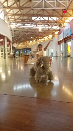 Movie Theater «Cinemark Orlando and XD», reviews and photos, 5150 International Dr, Orlando, FL 32819, USA