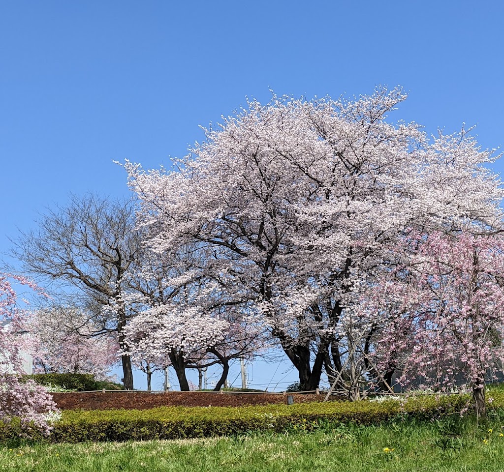 上尾丸山公園