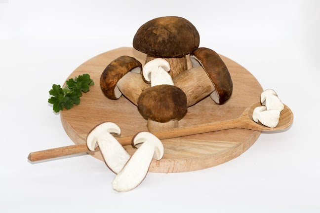 Claufunghi Mario : Ciuperci si Fructe de Padure