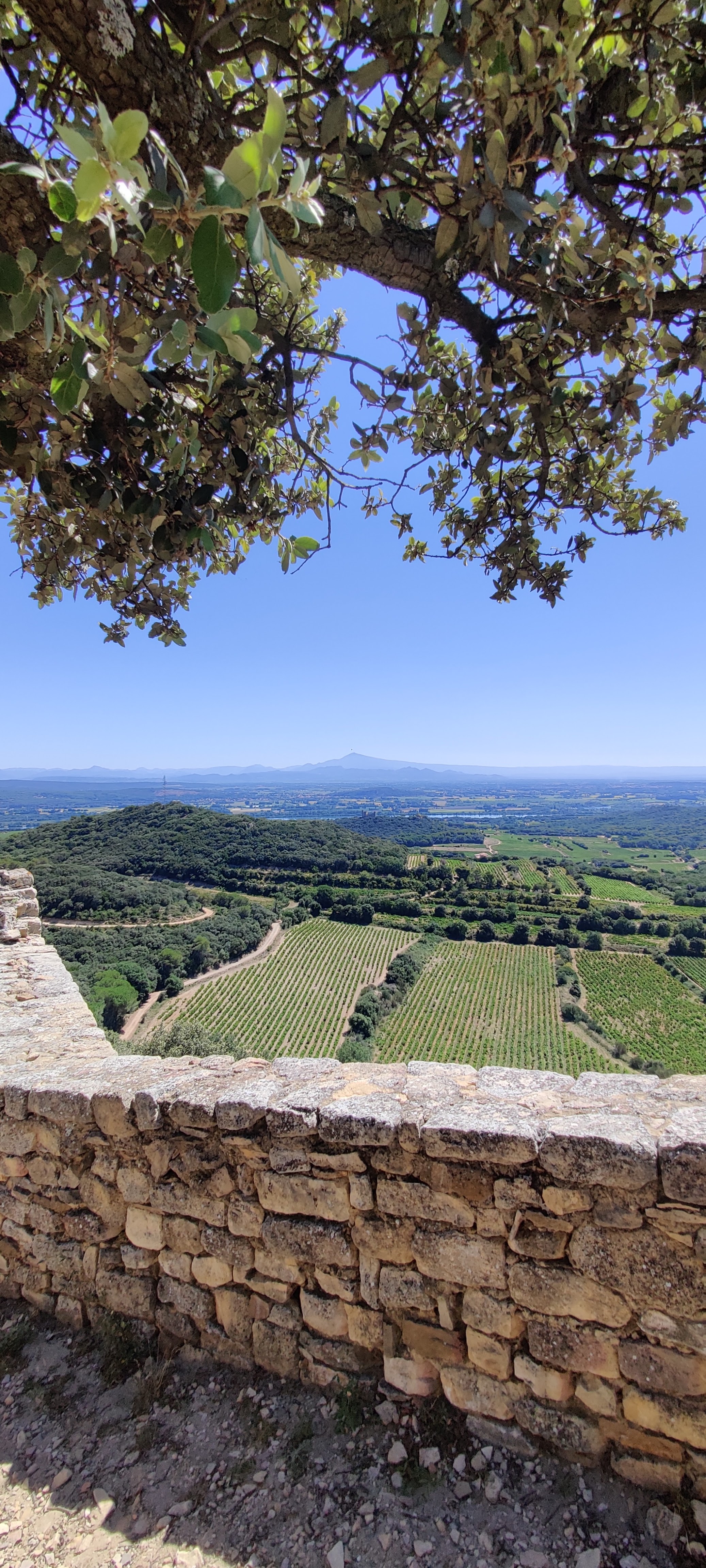 Photo n° 1 de l'avis de Dy.v fait le 30/07/2023 à 17:43