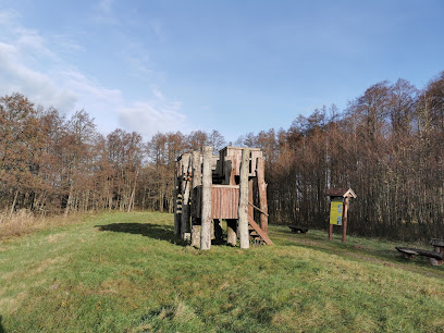 Kintų girininkijos pažintinis takas